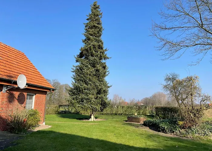 Kiebitzheide 아파트 *